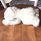Foto 4 di 11