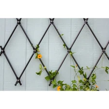 Achla Designs Lattice Trellis, Wall Mounted