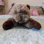 Vtg 1987 Plush Persian Cat Bell in Tail Brown 24K Polar Puffs Bethany #5566