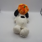 Picture 5 of 10
