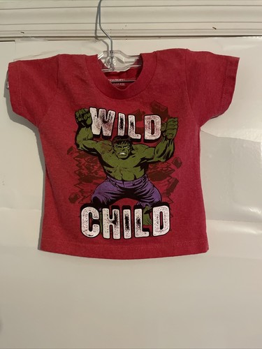 Incredible Hulk Boys t shirt Wild Child 