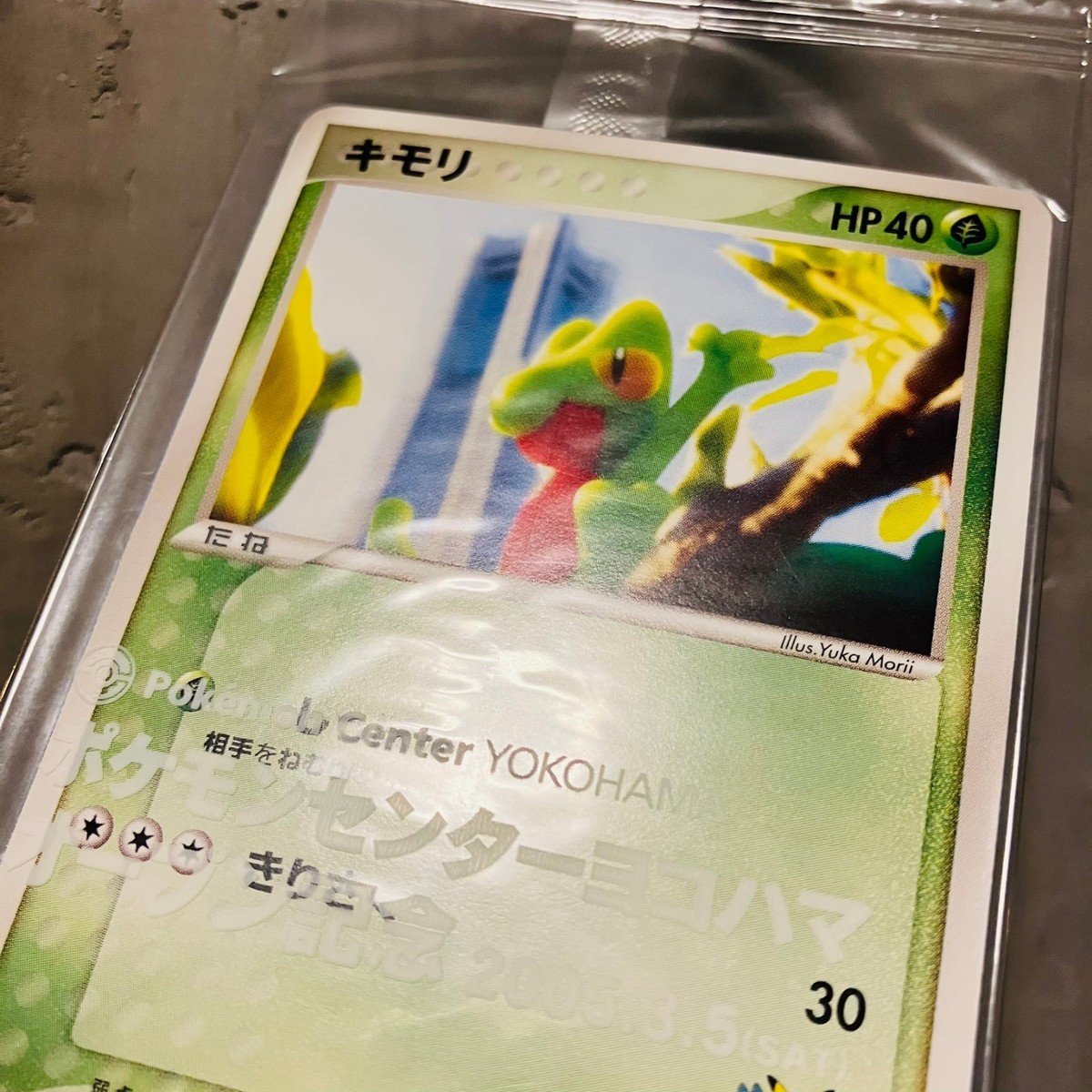 Sealed (EX) Treecko 037/PCG-P Pokemon Center Yokohama Promo Card