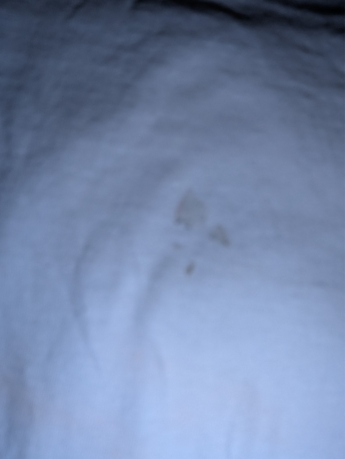 Picture 8 of 8
