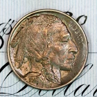 * 1913-D TYPE 1 * CHOICE UNC MS BUFFALO NICKEL * FROM ORIGINAL COLLECTION