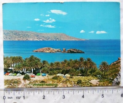 alte AK Sitia, Kreta - Der Palmenwald