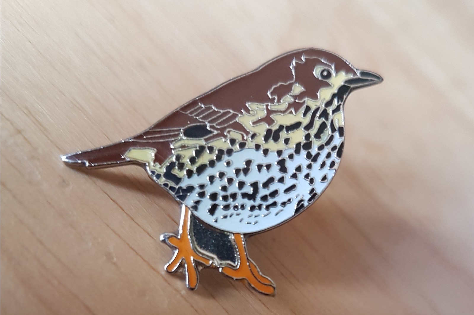 RSPB Pin Badge. SONG THRUSH eBay