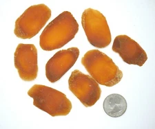 Jumbo Red Panax Ginseng Slices - 6 Year Old Roots - Premium Quality 人参片 from USA