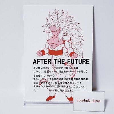 Doujinshi DRAGON BALL  AFTER THE FUTURE Vol.21