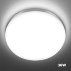 Bild 198 von 350