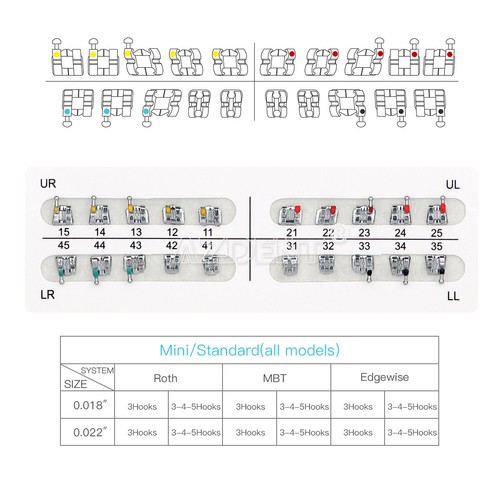 US Dental Orthodontic Brackets Braces/ Super Elastic Niti Arch Wires Ovoid Sets - Picture 6 of 121