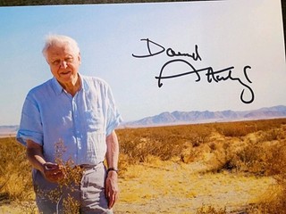 DAVID ATTENBOROUGH Authentic Hand Signed Autograph 4X6 PHOTO