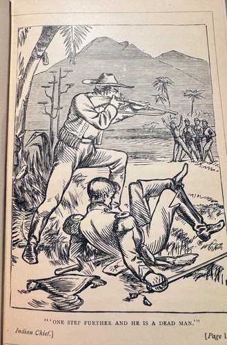 THE INDIAN CHIEF -A TALE OF THE DESERT-Gustave Aimard-RARE-Native American-1861 - Picture 3 of 4