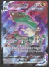 Pokemon TCG: Rayquaza VMAX TG20/TG30 Silver Tempest Trainer Gallery