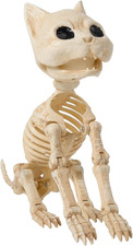 8" Cat Skeleton Halloween Decor Posable Plastic Animal Skeleton Yard Party