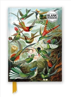 Ernst Haeckel Hummingbirds, Foiled Blank Journal, Hardcover by Flame Tree Stu...