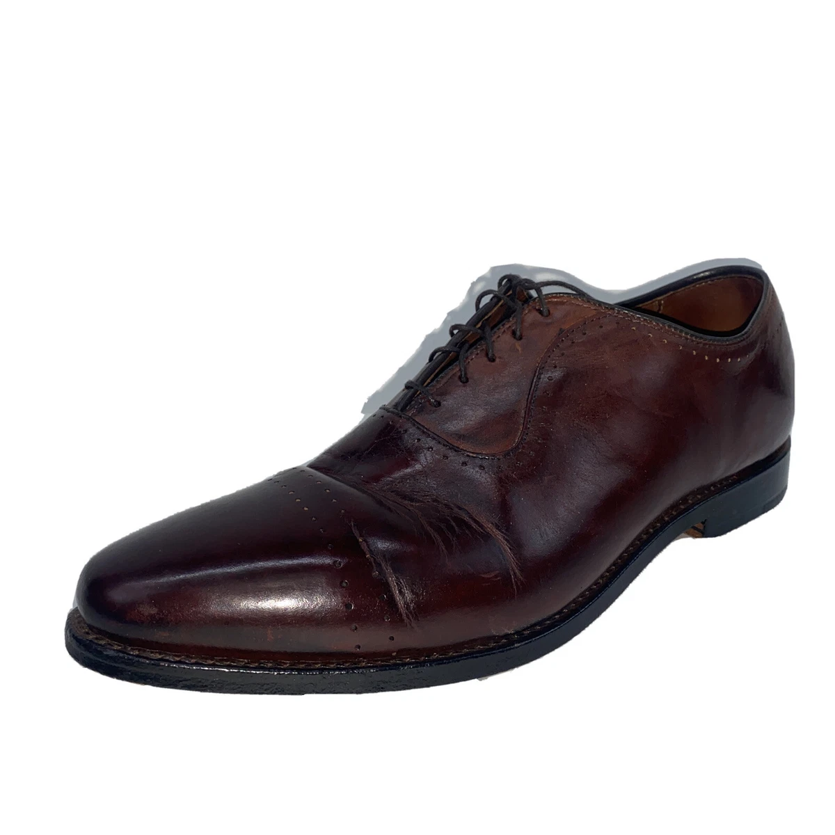 Vernon dress oxfords allen best sale edmonds