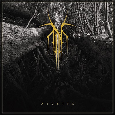 Norse Ascetic (CD) Album Digipak (UK IMPORT)