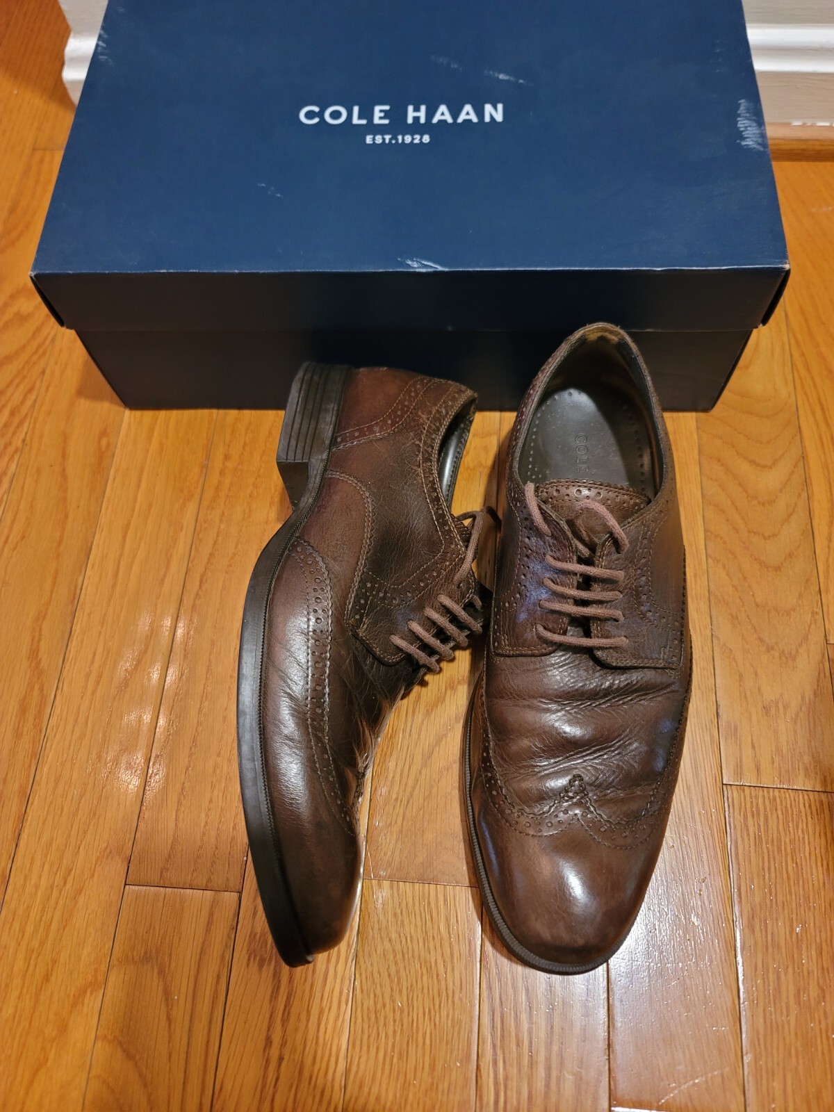 SAOLA Cole Haan Copley Wingtip Derby Oxford pelle C13143 marrone castagno taglia 9