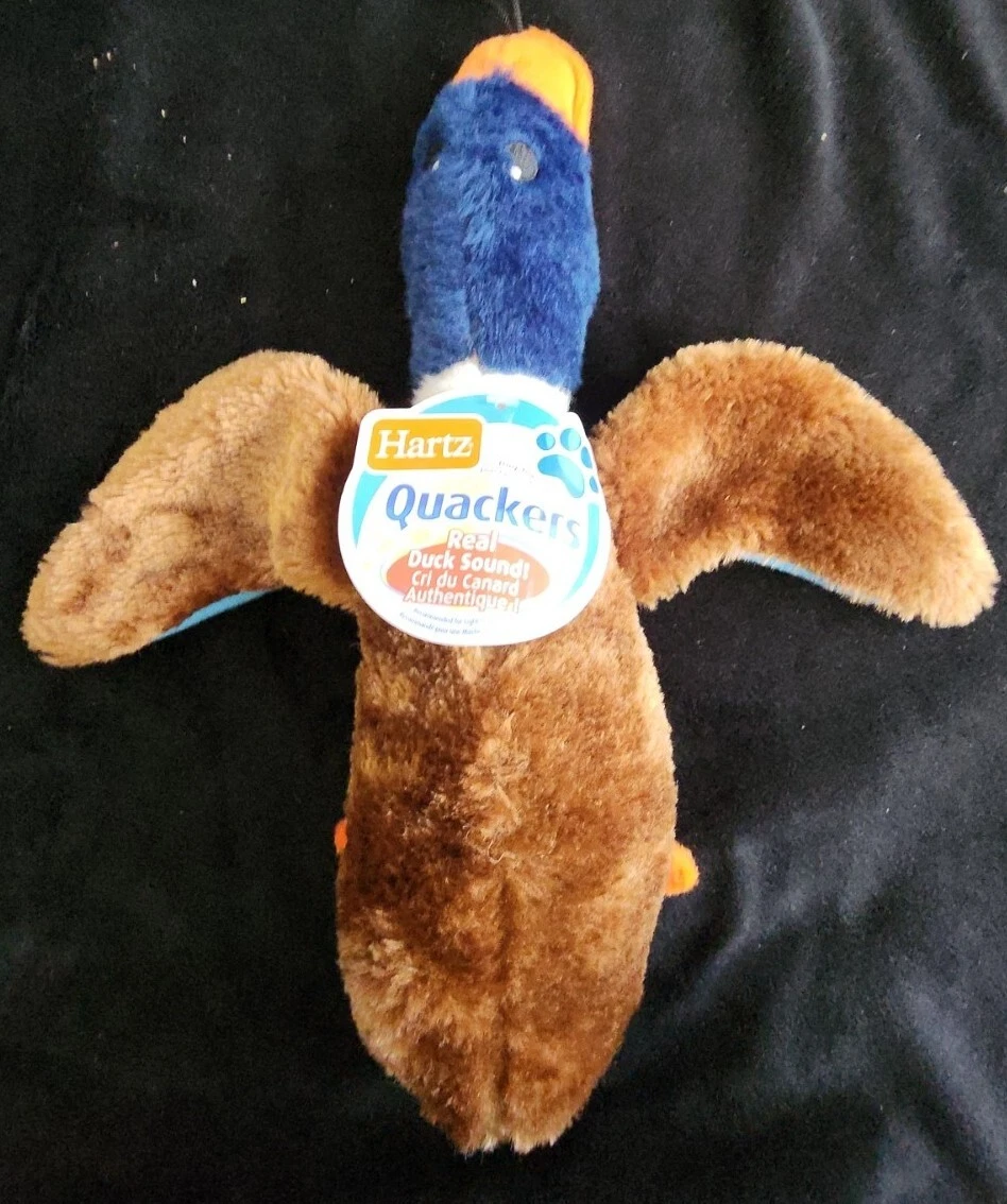 NWT Hartz Quackers Duck Mallard Dog Toy free Shipping