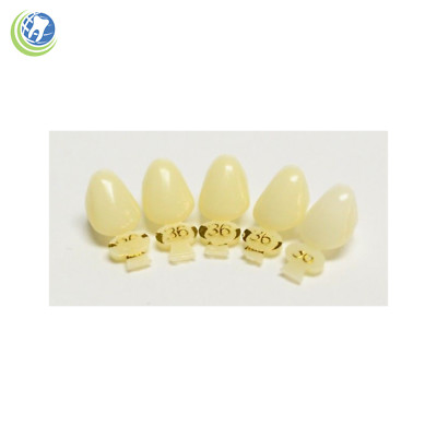 DENTAL POLYCARBONATE TEMPORARY CROWNS #36 (ULC) UPPER LEFT CUSPID 5/PACK