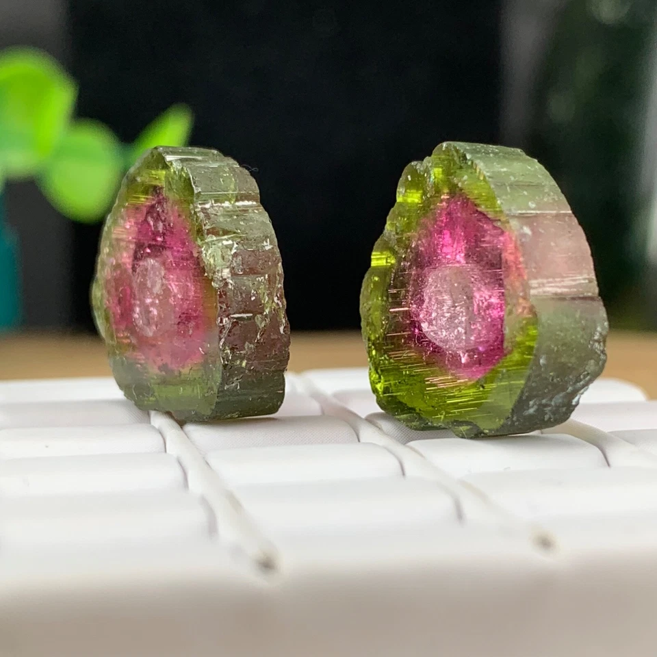 Bicolour Tourmaline Slice Pair 27.89 Ct, Flawless Earring Setting Natural Gems - Image 4 of 4