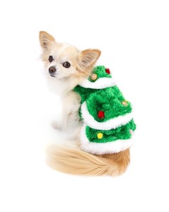 dachshund christmas outfit