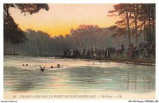 APIP12-0899-77 - Hunting In The Forest Of - FONTAINEBLEAU - Water Bat