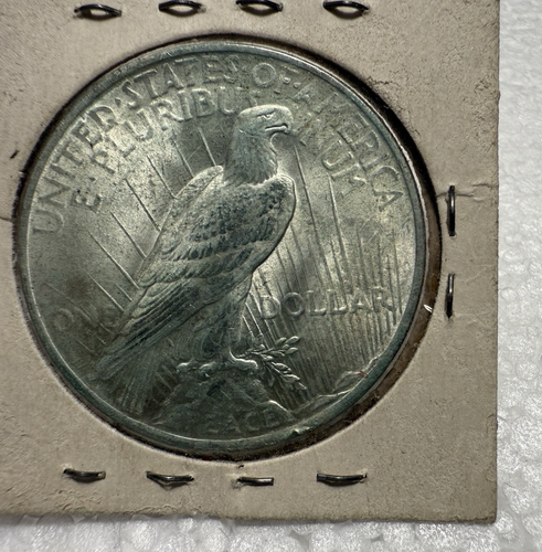 1923 Liberty Peace One Dollar Silver Coin US Treasury Eagle Protected Clean - Picture 12 of 16