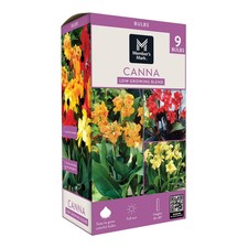 Member's Mark Low Growing Picasso, Futurity Cannas Dormant Bulbs, 9 Pack