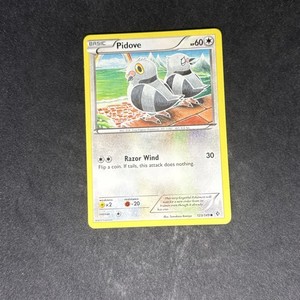 NM Pidove 123/149 Boundaries Crossed Regular