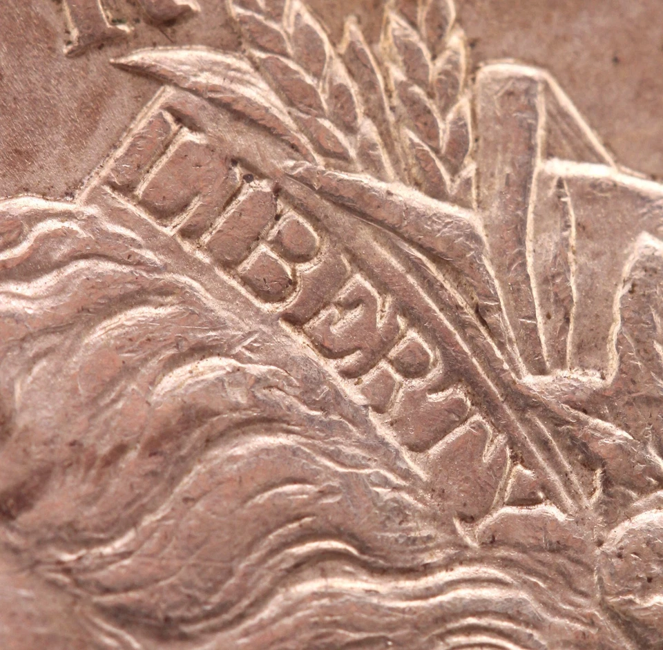 1887 $1 NGC AU 58 CAC VAM 12A "Dbl LIBERTY & Alligator Eye" (TOP 100) - Image 3 of 4