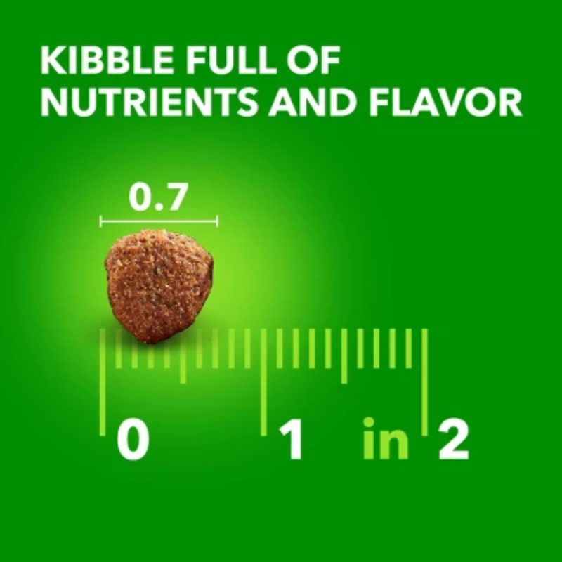 IAMS Proactive Health Chicken Flavor Whole Grain Dry Dog Food