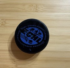 1999-2000 Birmingham Bulls ECHL Official Hockey Puck Unknown Signature  