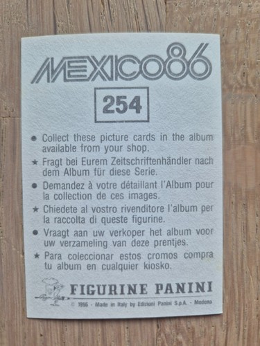 Panini FIFA World Cup 1986 - Pick your Sticker - 2/2 - 第 107/441 張圖片