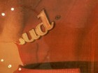 NASCAR Dale Earnhardt Jr Budweiser Racing Nascar #8 Framed Mirror Picture — photo 10