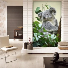 3D Leaves Koala O570 Animal Wallpaper Wall Murals Removable Wallpaper Fay