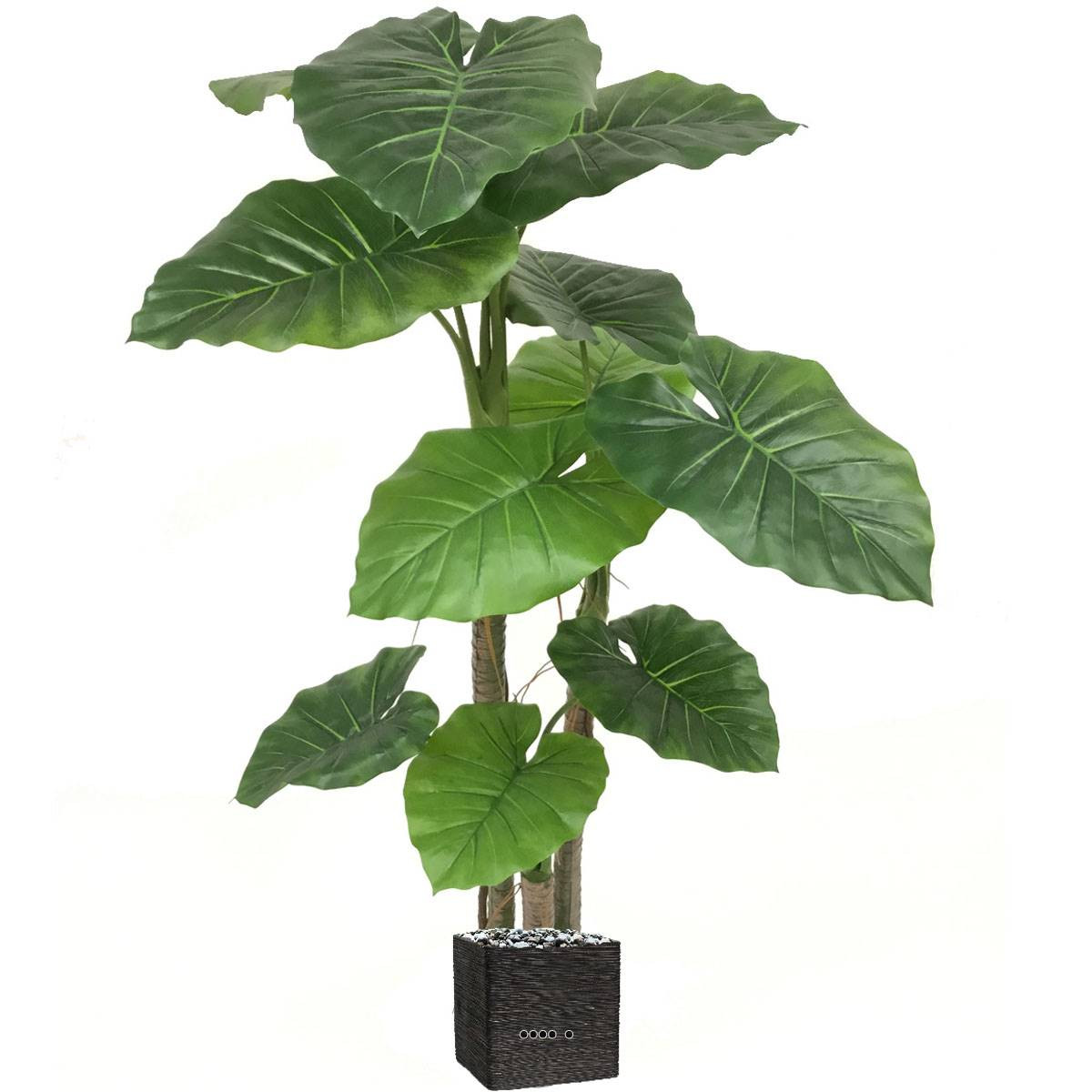 Colocasia artificiel en pot H 150 cm à 3 troncs et 11 grandes feuilles vert jungle