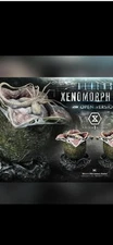 Prime 1 Studio Aliens Xenomorph Egg (Open Version) 11 Inch Statue IN STOCK!!