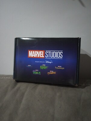 Funko Marvel Collector Corps Subscription Box: Disney+ Original Series2-LG Shirt