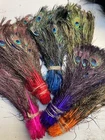Rare Miniature Dyed Peacock Feathers Fly Tying Feathers