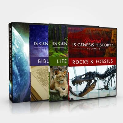 Creation Bundle
