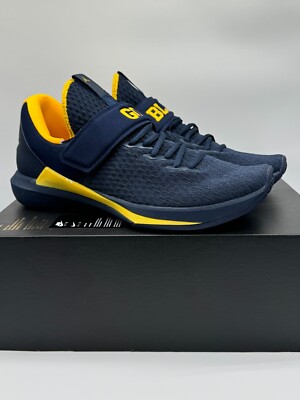 jordan brand michigan air jordan shoes
