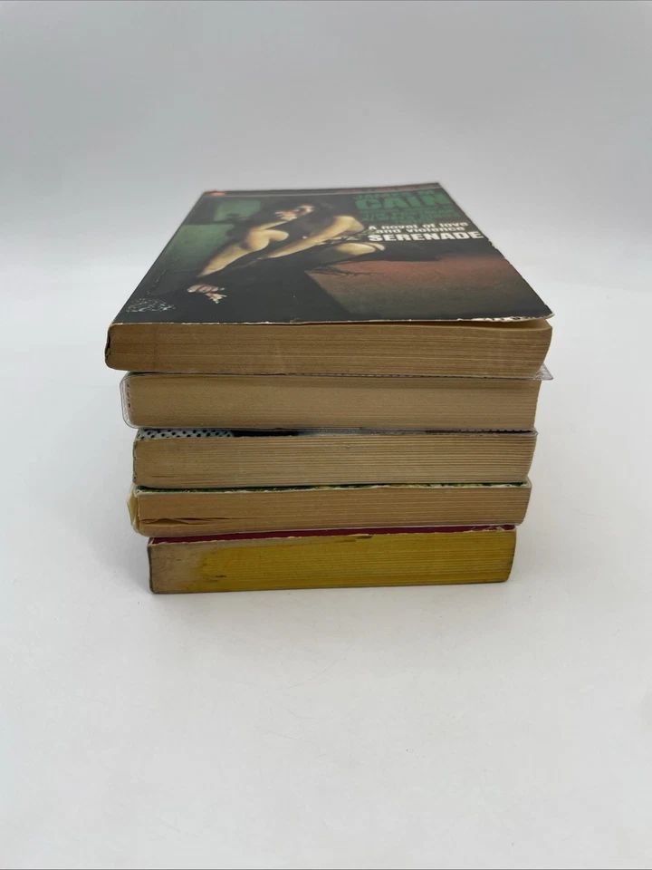 5 Vintage Popular Fiction - Catherine Cookson & British Authors 1960s-80s Foto 3 de 4