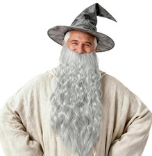 Long Gray Curly Wizard Beard for Men