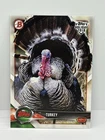 2018 Topps Bowman Holiday Turkey SP WHP-T