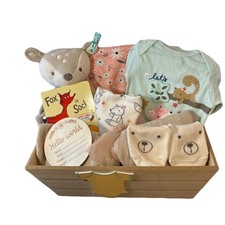 Gift Ready Fox Themed Baby Girl Shower Basket, Fox Book, Lovey, Clothes, Blanket