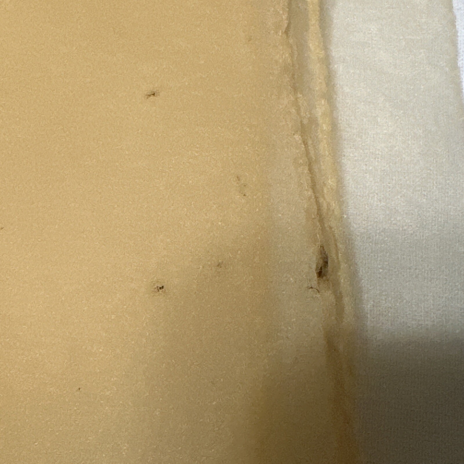 Picture 10 of 24