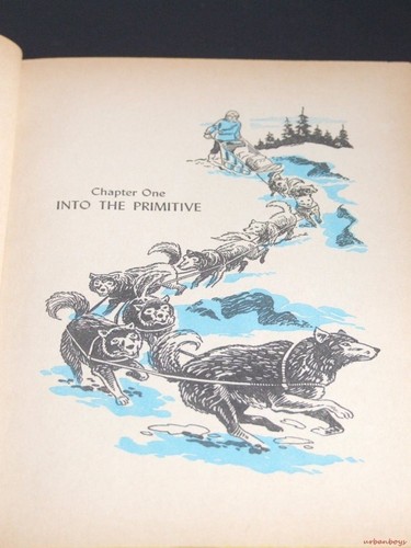 The Call Of The Wild by Jack London Hardcover Book 1960 - Picture 4 of 4