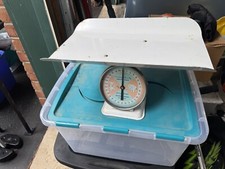 Vintage American Family Nursery Scale 30lbs 