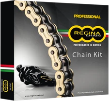 Regina Chain and Sprocket Kit 6ORN/100KHO041